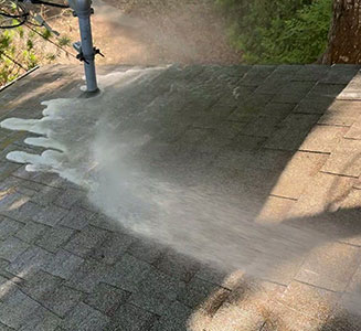 Roof-Cleaning