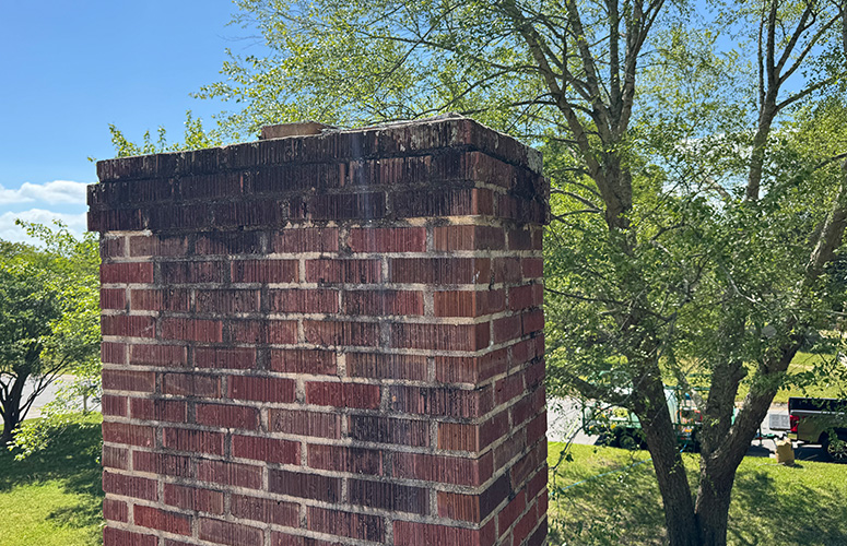 pressure-washing-company-How-Pressure-Washing-Mitigates-The-3-Ms