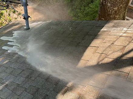 Roof Cleaning Gulf Breeze soft wash on asphalt roof