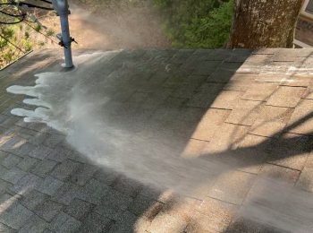 leprechaun-pro-wash-roof-soft-wash-rinse-pensacola-CtKesQ8t